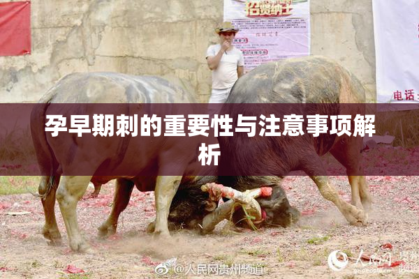 孕早期刺的重要性与注意事项解析