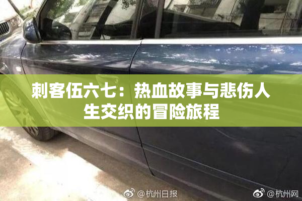 刺客伍六七：热血故事与悲伤人生交织的冒险旅程