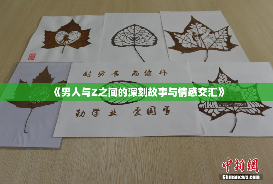 《男人与Z之间的深刻故事与情感交汇》