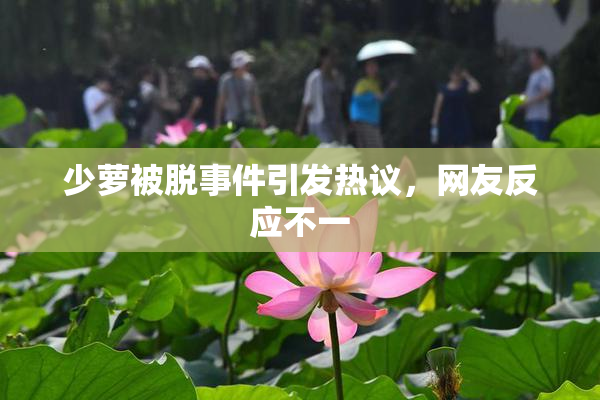 少萝被脱事件引发热议，网友反应不一