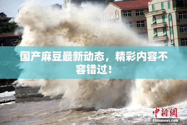 国产麻豆最新动态，精彩内容不容错过！
