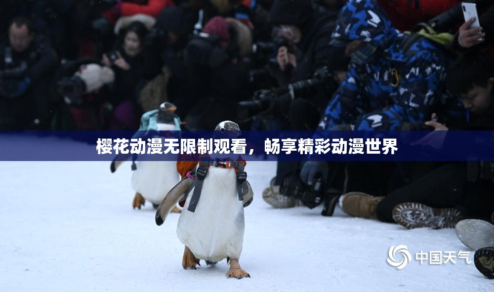 樱花动漫无限制观看，畅享精彩动漫世界