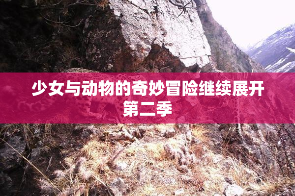 少女与动物的奇妙冒险继续展开第二季
