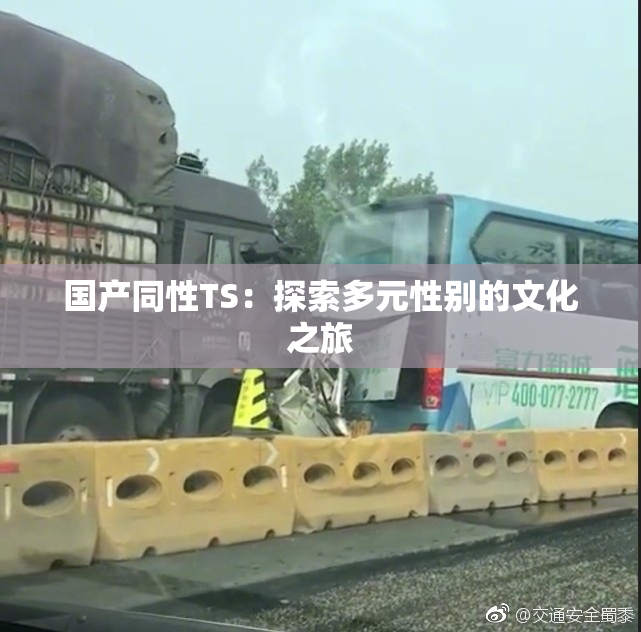 国产同性TS：探索多元性别的文化之旅