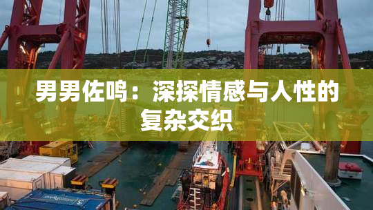 男男佐鸣：深探情感与人性的复杂交织