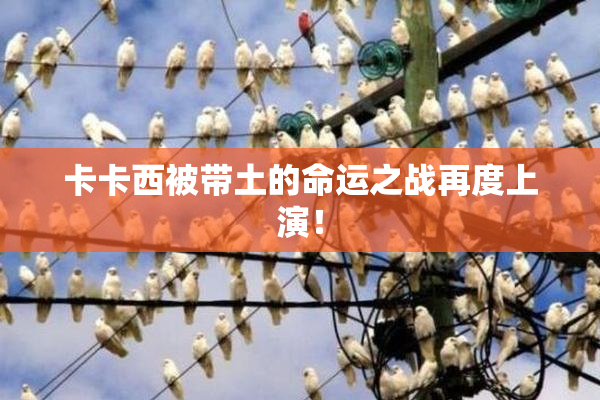 卡卡西被带土的命运之战再度上演！