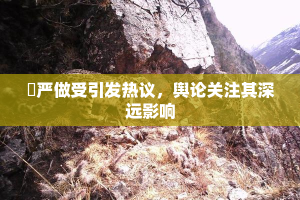 囯严做受引发热议，舆论关注其深远影响