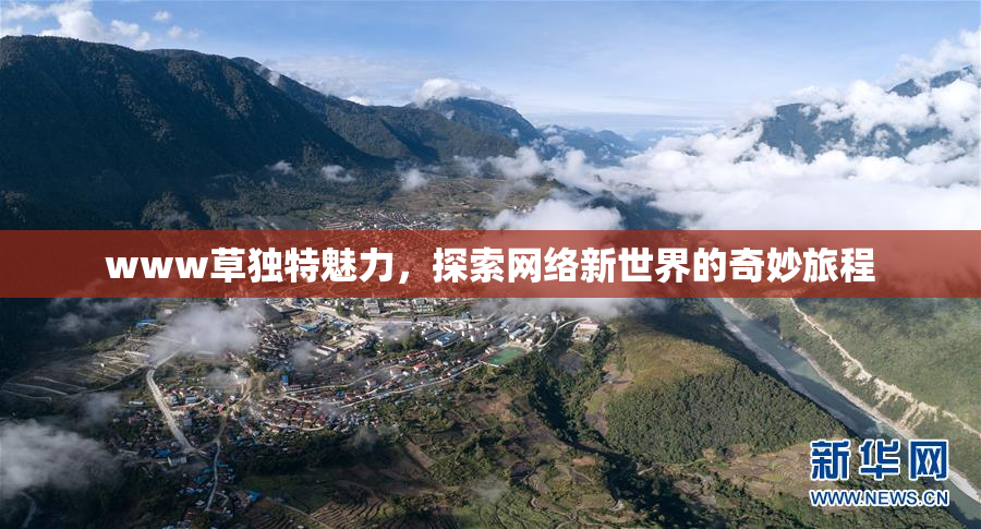 www草独特魅力，探索网络新世界的奇妙旅程
