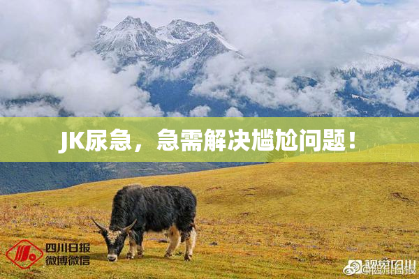JK尿急，急需解决尴尬问题！