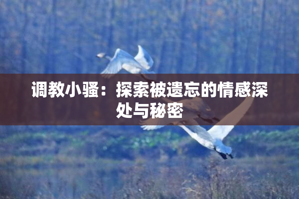 调教小骚：探索被遗忘的情感深处与秘密