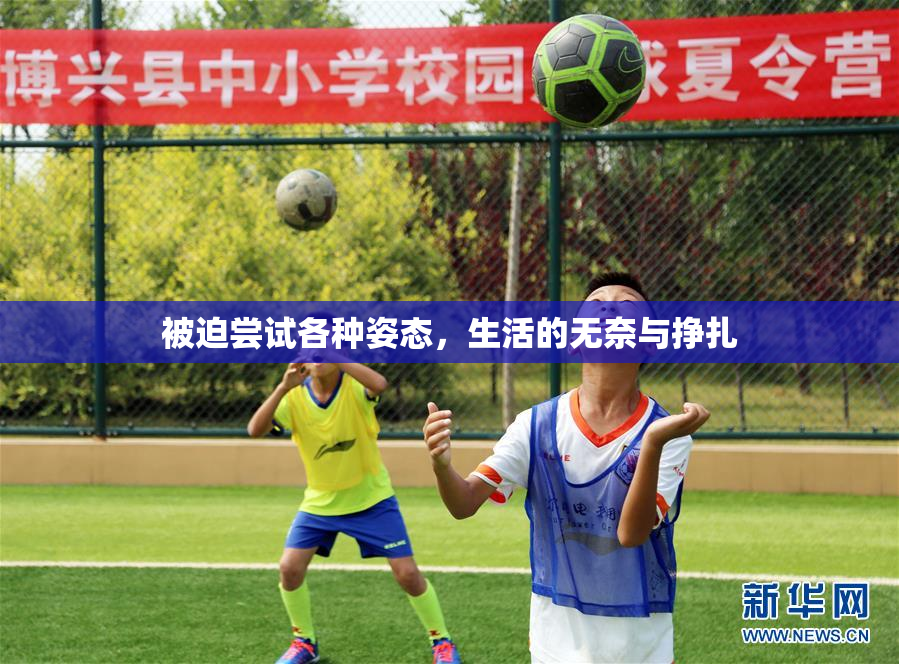 被迫尝试各种姿态，生活的无奈与挣扎