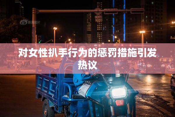 对女性扒手行为的惩罚措施引发热议