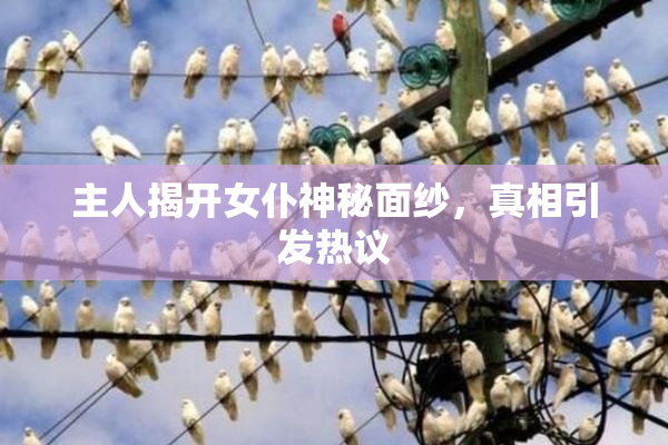 主人揭开女仆神秘面纱，真相引发热议