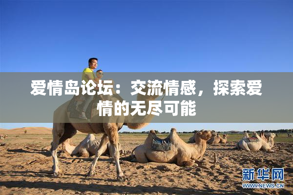 爱情岛论坛：交流情感，探索爱情的无尽可能