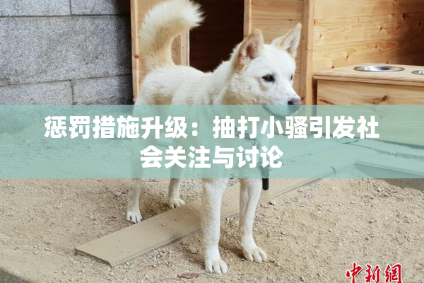 惩罚措施升级：抽打小骚引发社会关注与讨论