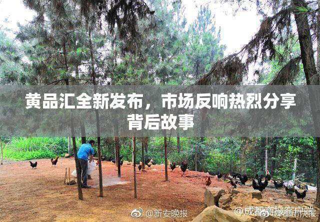 黄品汇全新发布，市场反响热烈分享背后故事