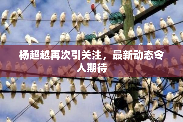 杨超越再次引关注，最新动态令人期待