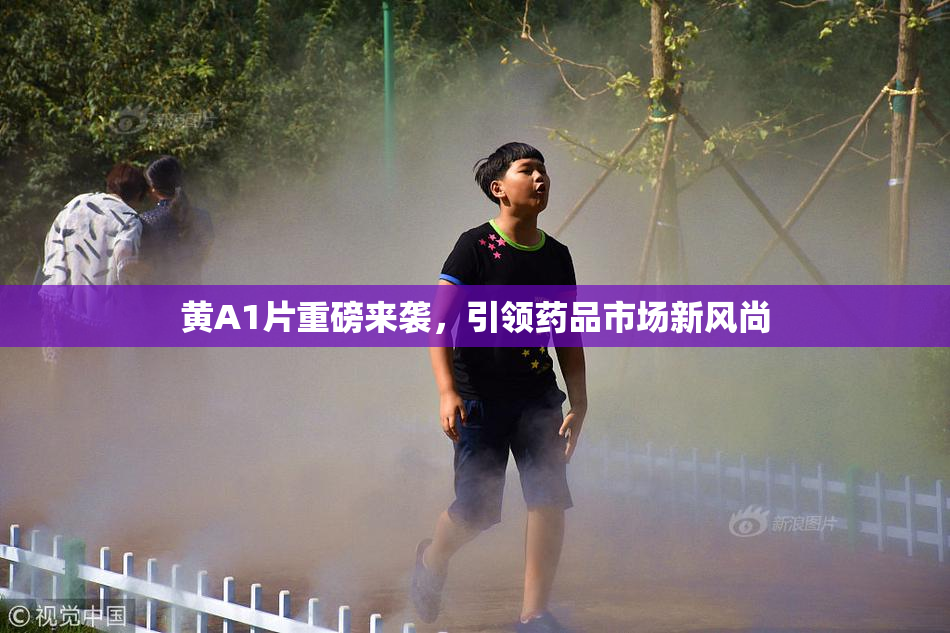 黄A1片重磅来袭，引领药品市场新风尚