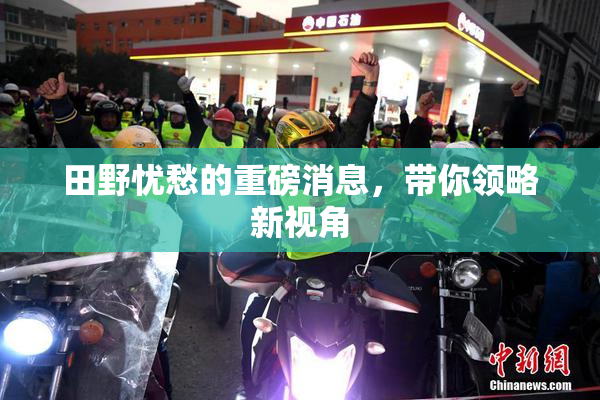 田野忧愁的重磅消息，带你领略新视角
