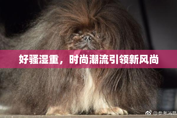 好骚湿重，时尚潮流引领新风尚