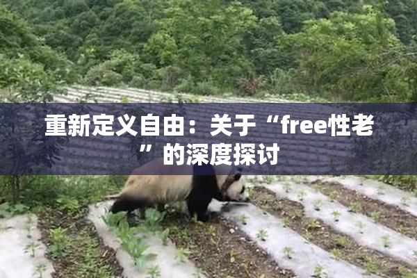重新定义自由：关于“free性老”的深度探讨