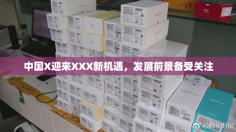 中国X迎来XXX新机遇，发展前景备受关注