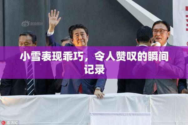 小雪表现乖巧，令人赞叹的瞬间记录
