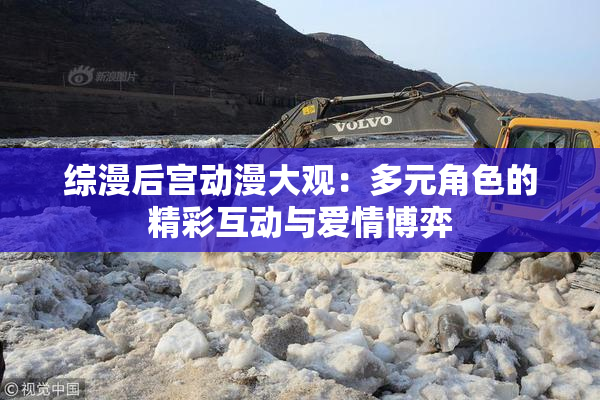 综漫后宫动漫大观：多元角色的精彩互动与爱情博弈