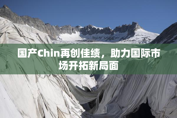 国产Chin再创佳绩，助力国际市场开拓新局面