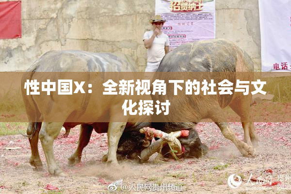 性中国X：全新视角下的社会与文化探讨
