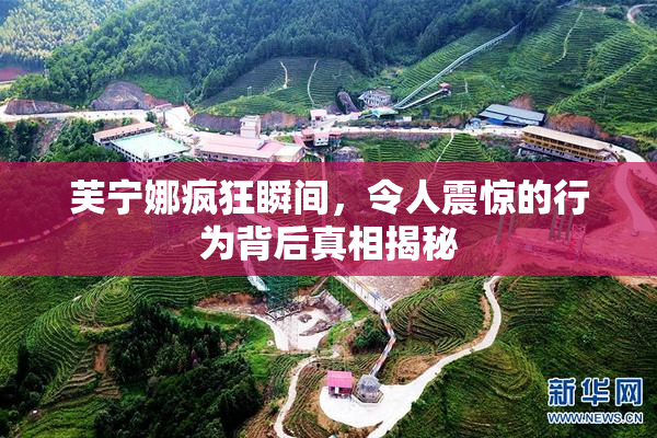 芙宁娜疯狂瞬间，令人震惊的行为背后真相揭秘