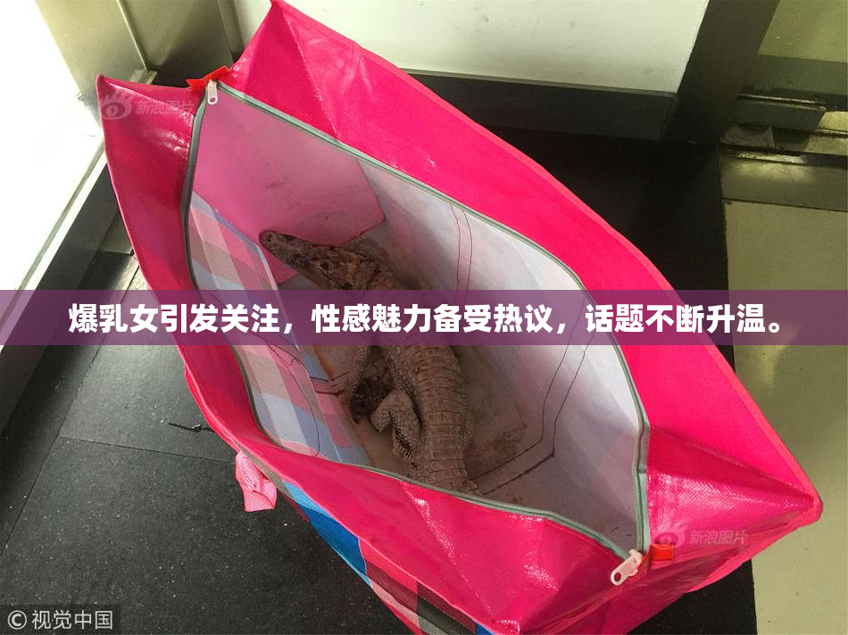 爆乳女引发关注，性感魅力备受热议，话题不断升温。