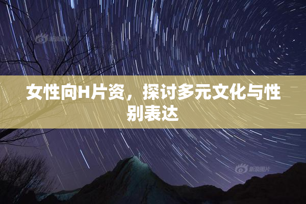 女性向H片资，探讨多元文化与性别表达
