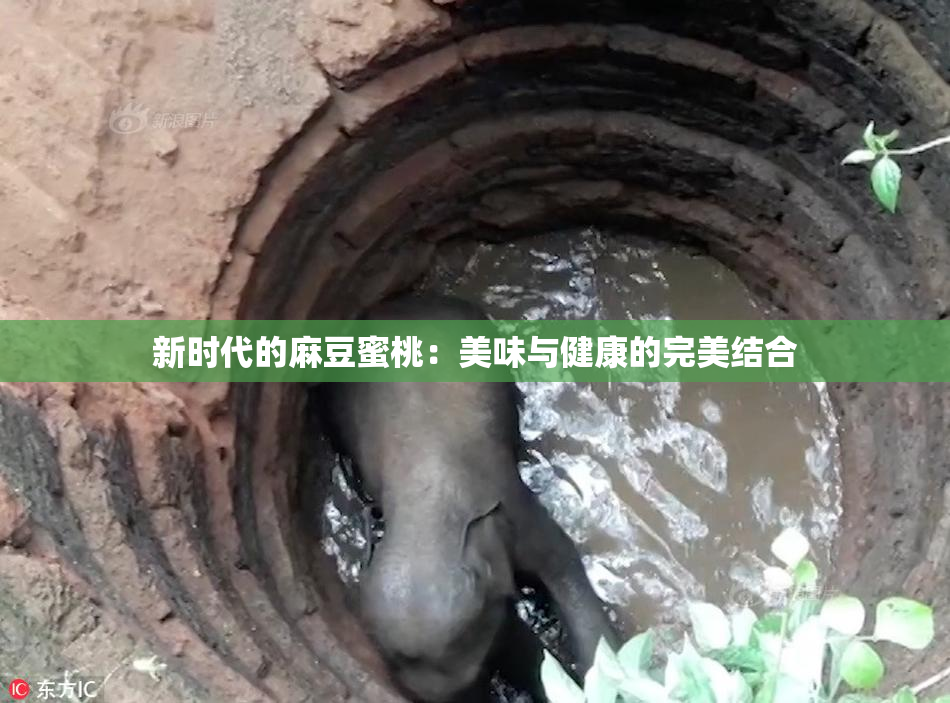 新时代的麻豆蜜桃：美味与健康的完美结合