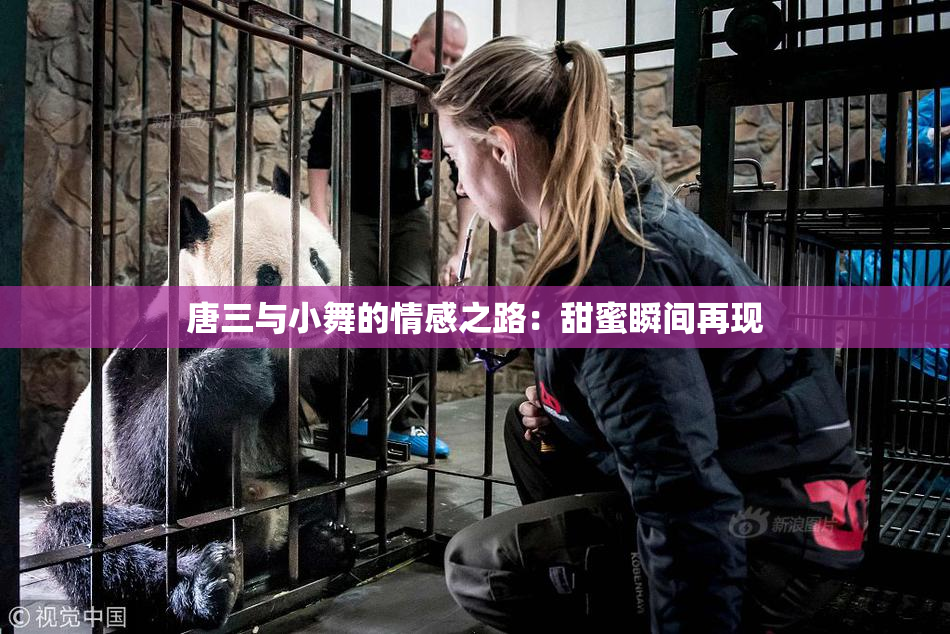 唐三与小舞的情感之路：甜蜜瞬间再现