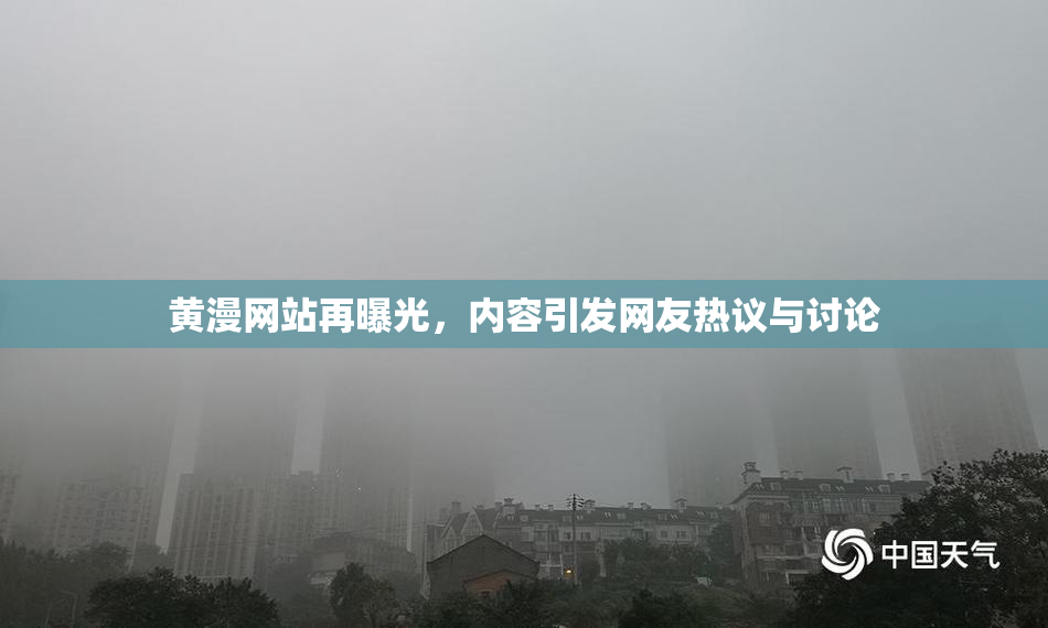 黄漫网站再曝光，内容引发网友热议与讨论