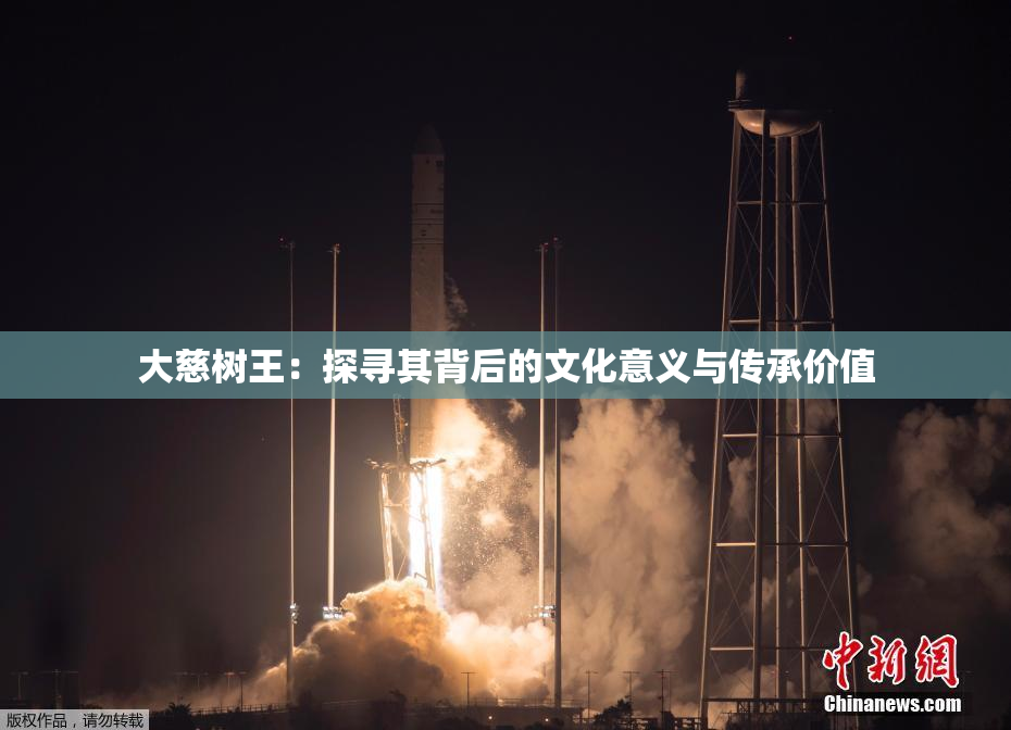 大慈树王：探寻其背后的文化意义与传承价值