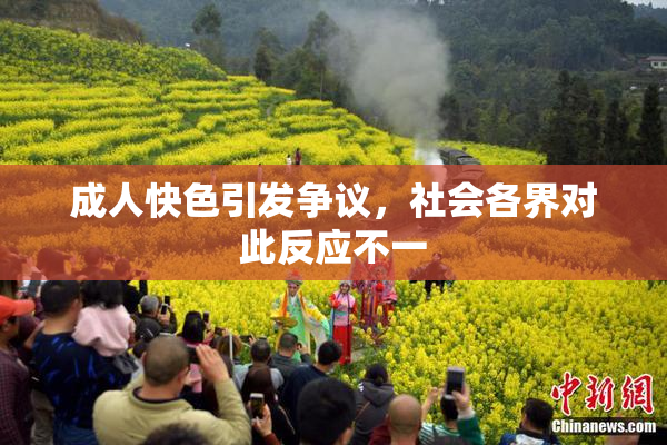 成人快色引发争议，社会各界对此反应不一