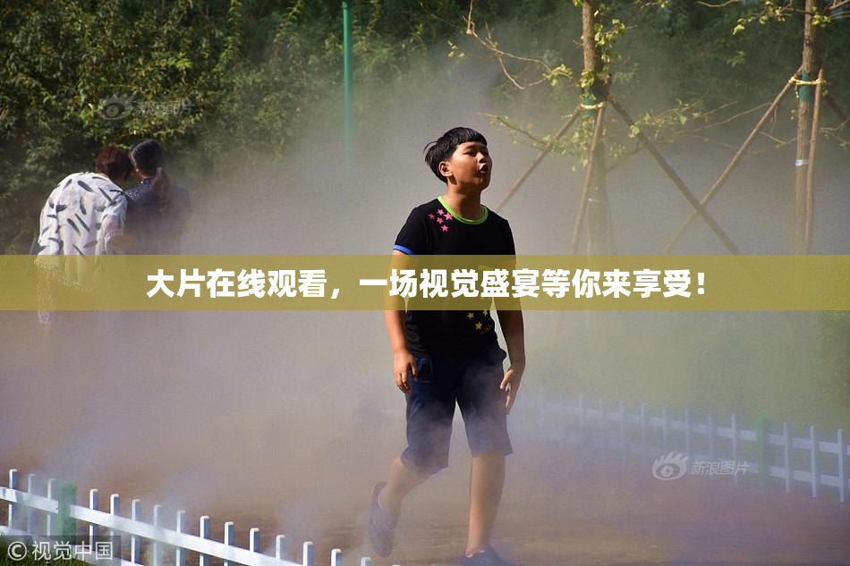 大片在线观看，一场视觉盛宴等你来享受！