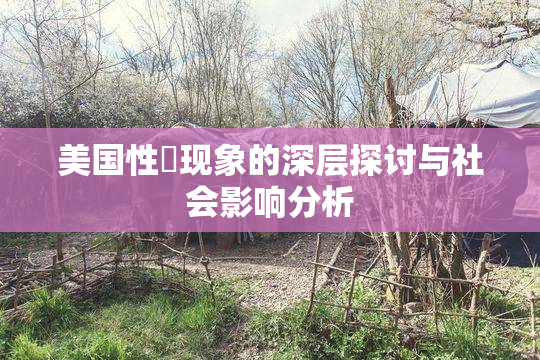 美国性婬现象的深层探讨与社会影响分析