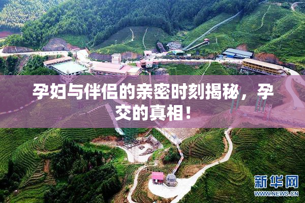 孕妇与伴侣的亲密时刻揭秘，孕交的真相！