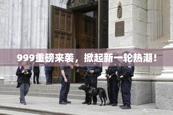 999重磅来袭，掀起新一轮热潮！