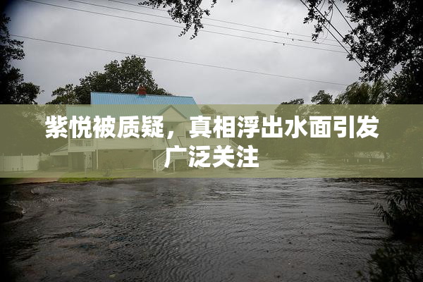 紫悦被质疑，真相浮出水面引发广泛关注