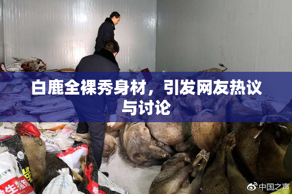 白鹿全裸秀身材，引发网友热议与讨论