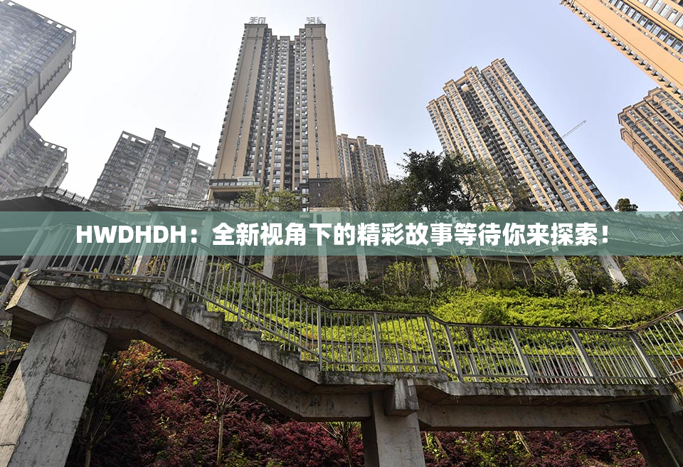 HWDHDH：全新视角下的精彩故事等待你来探索！