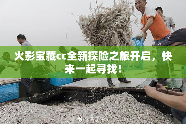 火影宝藏cc全新探险之旅开启，快来一起寻找！