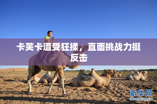 卡芙卡遭受狂揉，直面挑战力挺反击