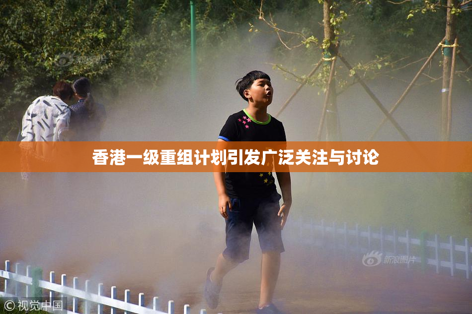香港一级重组计划引发广泛关注与讨论