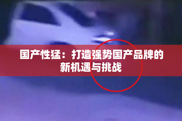 国产性猛：打造强势国产品牌的新机遇与挑战
