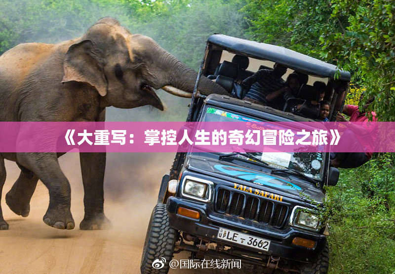 《大重写：掌控人生的奇幻冒险之旅》